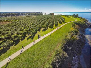 Villa Novigrad (Istrien) Omgeving 28