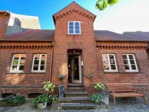 Ferienhaus Historisches Stadtinselhaus mit Dachterrasse - Hitzacker - image1