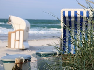 Strand Zingst