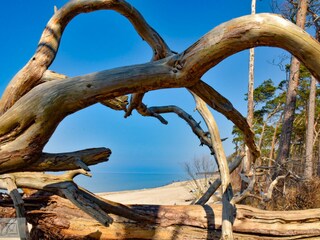 Ferienwohnung Zingst Ausstattung 22