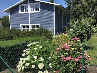 Ferienhaus Bastorf Außenaufnahme 6