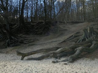 Holiday house Aabenraa  35