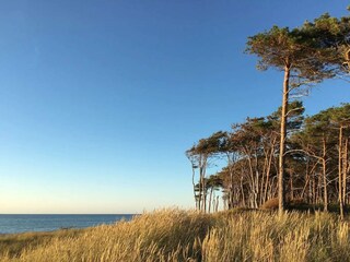 Vakantiehuis Vaeggerløse  18