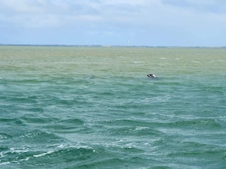 Ferienhaus Vaeggerløse  20