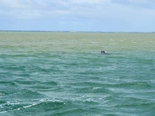 Maison de vacances Vaeggerløse  35