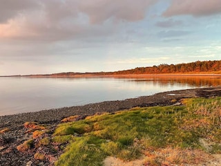 Casa per le vacanze Hvalpsund  38