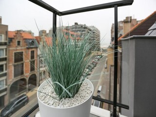 Appartamento Middelkerke  37