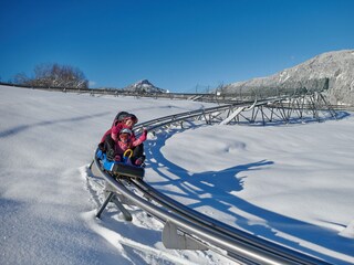 Ganzjährig rodeln mit dem Allgäu-Coaster