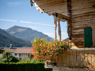 Appartement Kirchberg in Tirol Environnement 12