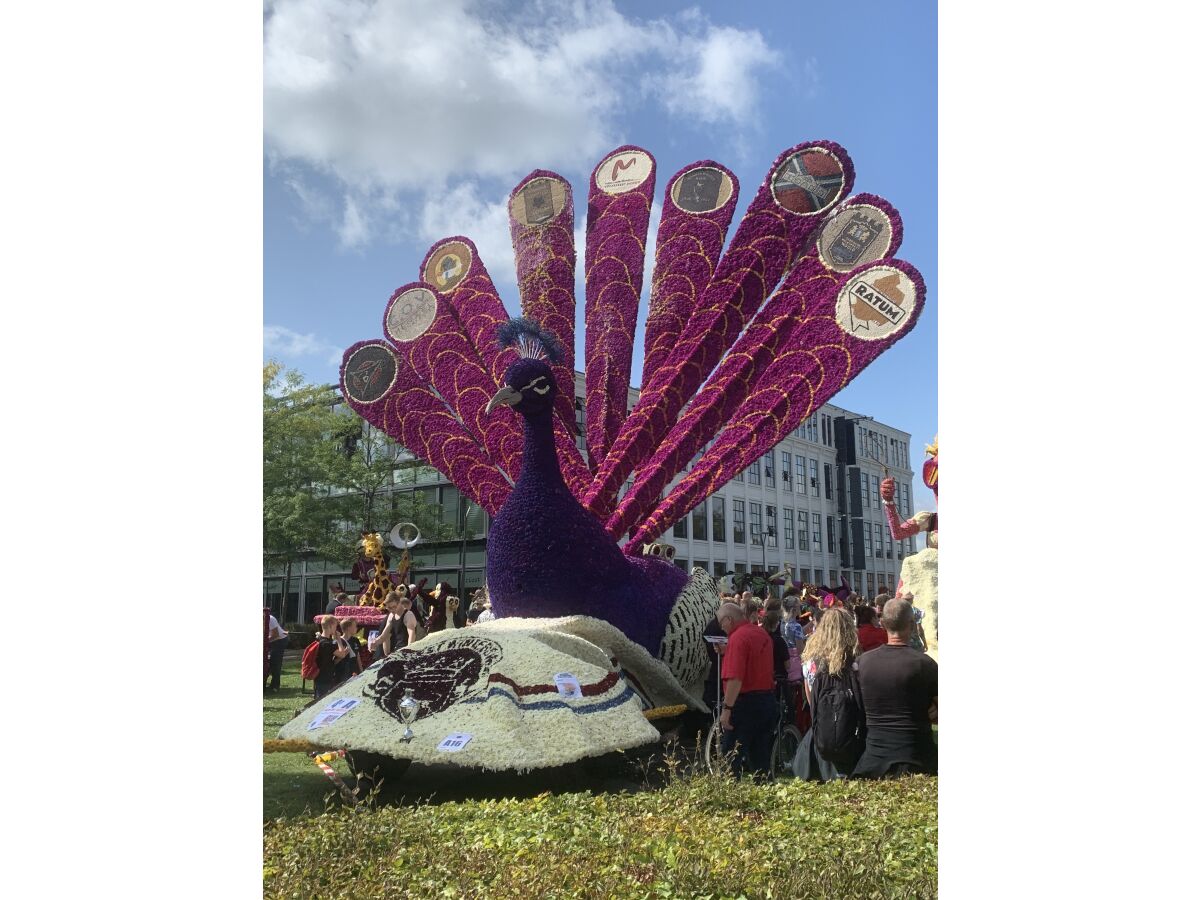 Blumenfestumzug in Winterswijk (Ende August)