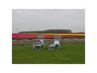 Casa per le vacanze Callantsoog Ambiente 18