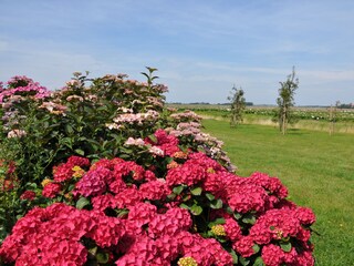 Casa per le vacanze Callantsoog Ambiente 19