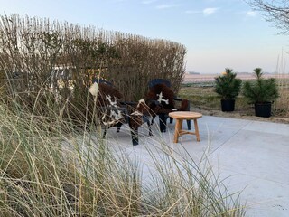 Vakantieappartement Callantsoog Omgeving 19
