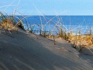 Appartamento per vacanze Callantsoog Ambiente 25