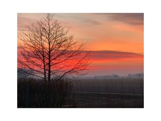 Appartamento per vacanze Callantsoog Registrazione all'aperto 8