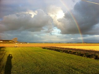 regenboog