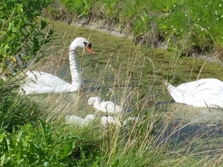 Vakantiehuis Callantsoog Omgeving 16