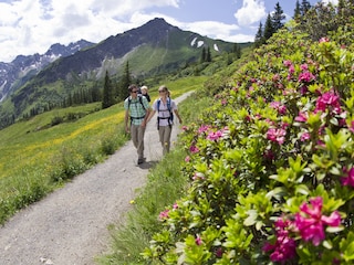 Topwanderwege in Oberstdorf