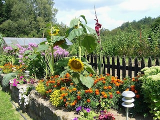 Villa Polanow Buitenaudio-opname 3