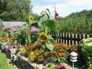 Villa Polanow Registrazione all'aperto 3