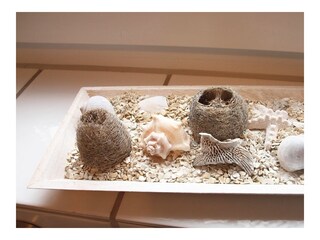 Casa per le vacanze Wittmund Registrazione all'aperto 14