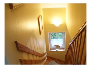 Casa per le vacanze Wittmund Registrazione all'aperto 27