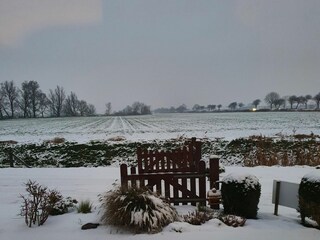 Casa per le vacanze Wittmund Registrazione all'aperto 39