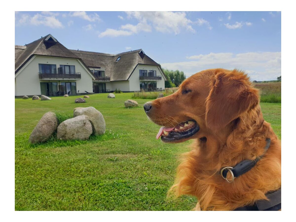 Apartamento de vacaciones Putbus Grabación al aire libre 1