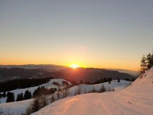 Chalet Almhütte auf der Frauenalpe Murau, Steiermark - St. Georgen ob Murau - image1