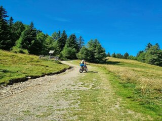 Chalet St. Georgen ob Murau Entorno 22