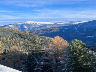 Chalet St. Georgen ob Murau Environnement 22