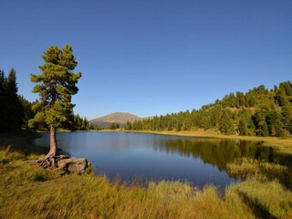 Chalet St. Georgen ob Murau Umgebung 26