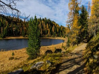 Chalet St. Georgen ob Murau Entorno 35