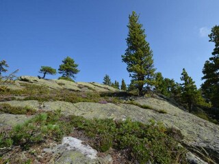 Chalet St. Georgen ob Murau Environnement 39