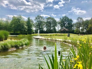 Vakantiepark Arcen Omgeving 24