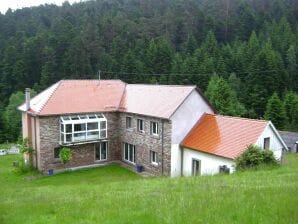 Maison de vacances Gîte Hansel, dans la verdure au bord d'un ruisseau - Wangenbourg-Engenthal - image1