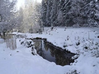 Holiday cottage Wangenbourg-Engenthal Environment 19