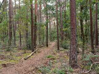 Casa per le vacanze Hattem Ambiente 32