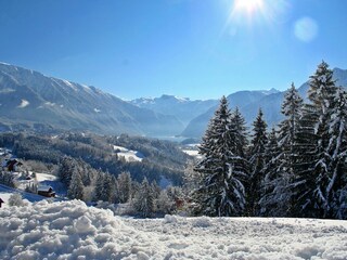 Casa per le vacanze Bad Goisern Ambiente 13