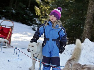 Casa per le vacanze Bad Goisern Ambiente 20