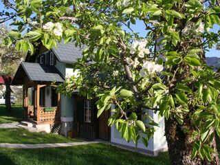 Casa per le vacanze Bad Goisern Registrazione all'aperto 3