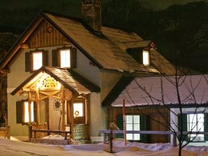 Holiday house Forstinger - Bad Goisern - image1