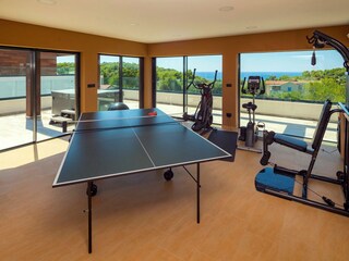 Table tennis and fitness room