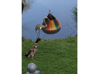 Casa per le vacanze Hergensweiler Registrazione all'aperto 8