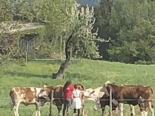 Casa per le vacanze Hergensweiler Registrazione all'aperto 9