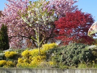 Casa per le vacanze Hergensweiler Ambiente 37