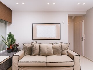 the sofa  in yhe living room  in the ground floor