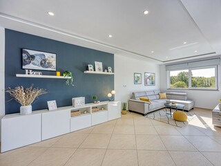 Villa Tinjan Caratteristiche 13