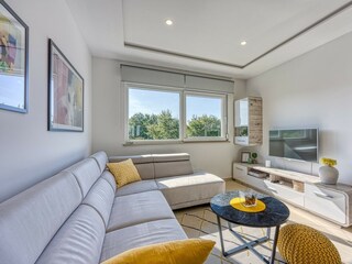 Villa Tinjan Caratteristiche 19