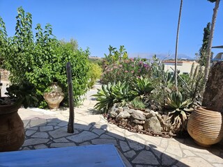 View from the terrace